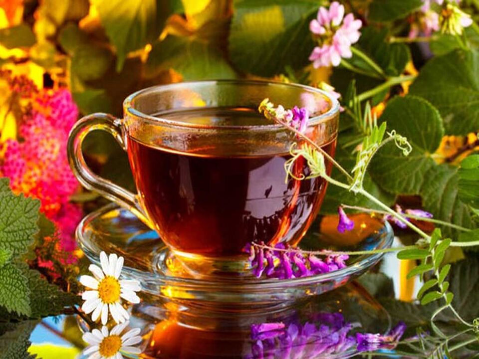 Infusion und Abkochungen